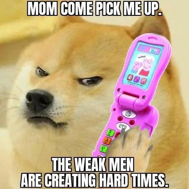 Meme Mom come pick me up - The weak men are creating hard times
