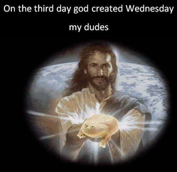 Meme On the third day God created Wednesday my dudes