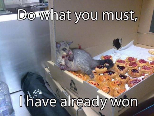 Do what you must - I have already won