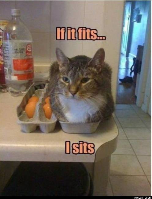 If it fits - I sits