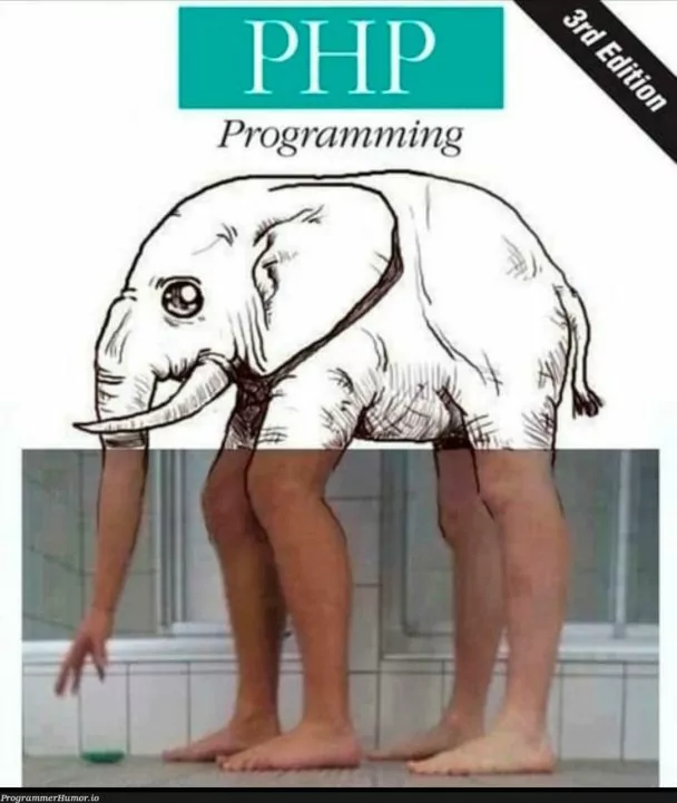 Meme PHP programming