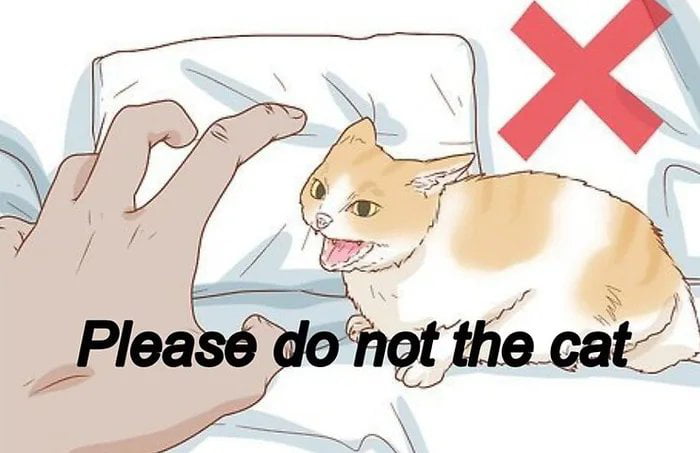 Meme Please do not the cat