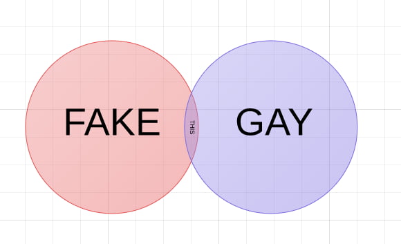 Meme fake and gay