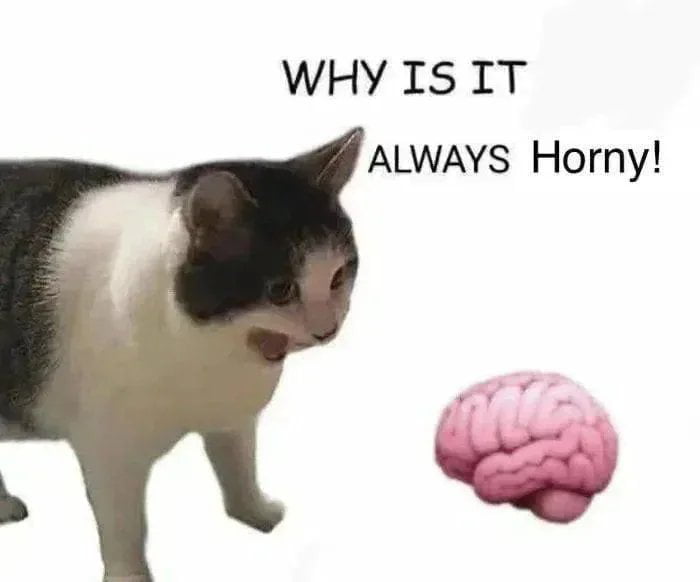 Meme Why is it always horny?