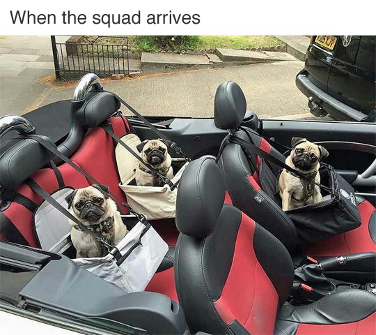 Meme When the squad arrives